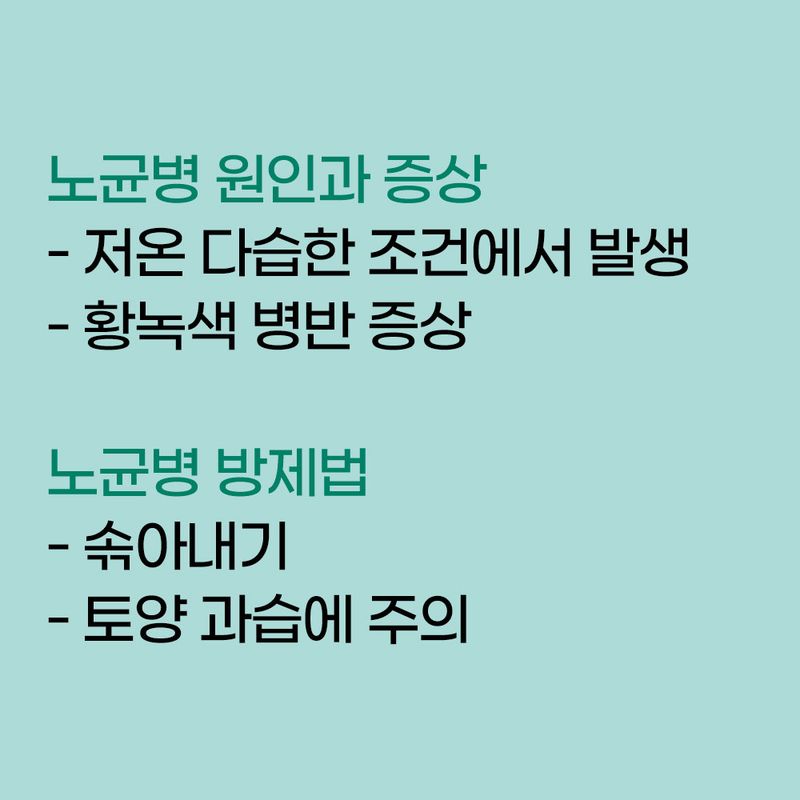 알 수 없음님의 농사정보 썸네일