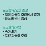 팜모닝 시금치·병해충상담 게시글 이미지