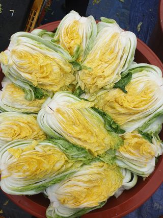 신동익님의 작성글 사진