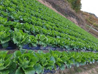신동익님의 작성글 사진