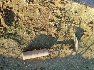 호미대장님의 마늘 · 제초 작성글 사진