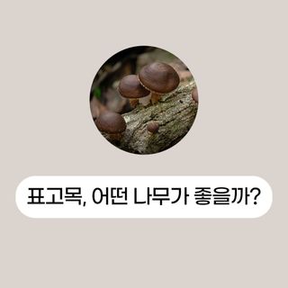 버섯 농사도우미님의 버섯 · 토양준비 작성글 사진