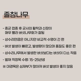 버섯 농사도우미님의 버섯 · 토양준비 작성글 사진