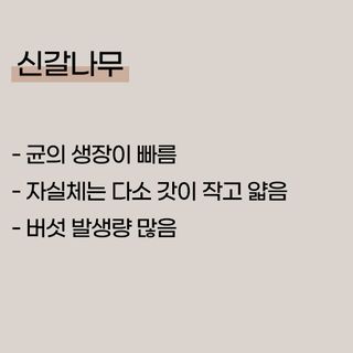 버섯 농사도우미님의 버섯 · 토양준비 작성글 사진