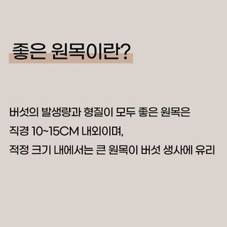 버섯 농사도우미님의 버섯 · 토양준비 작성글 사진