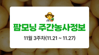 배 농사도우미님의 배·토양준비 작성글 사진