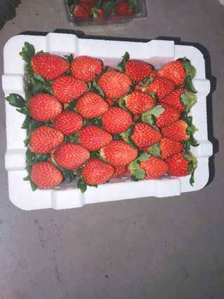 햇빛농원님의 딸기 · 일상 작성글 사진