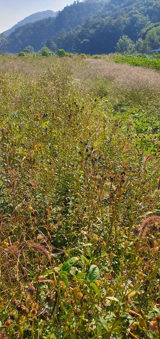 임오빈님의 작성글 사진