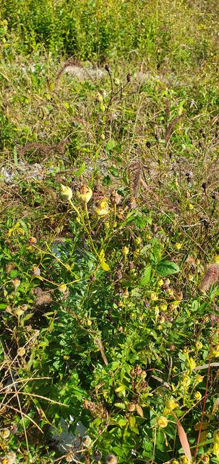 임오빈님의 작성글 사진