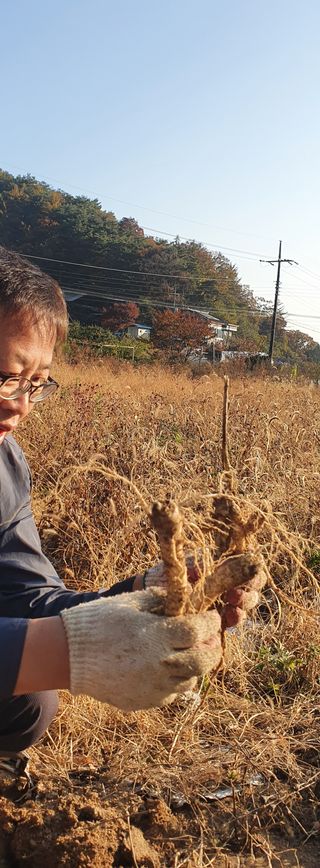 임오빈님의 작성글 사진