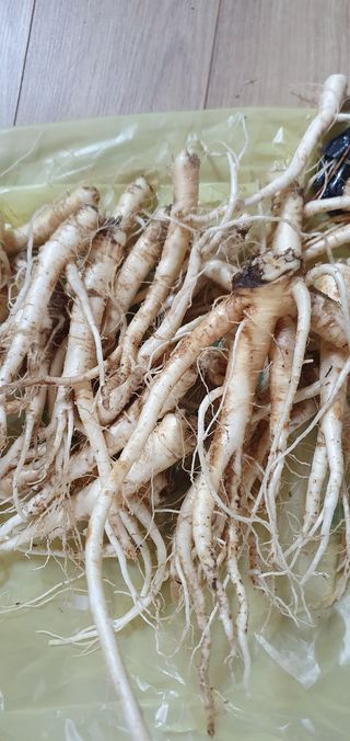 임오빈님의 작성글 사진