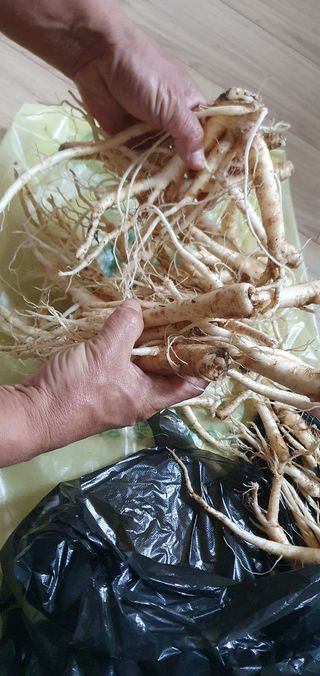 임오빈님의 작성글 사진