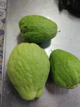 정정녀님의 호박 · 자유게시판 작성글 사진