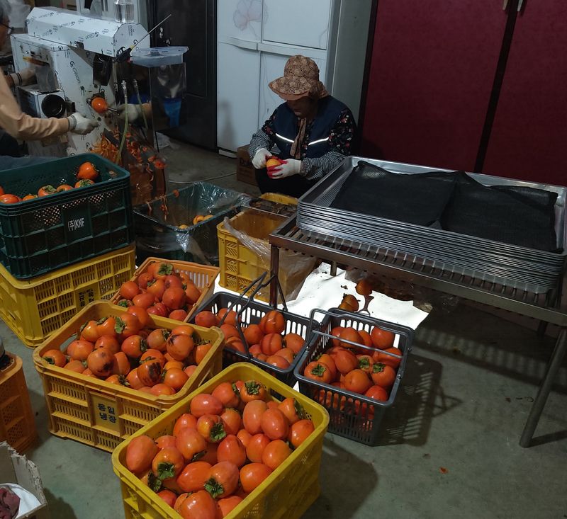 모야아빠님의 장터 판매 상품 [하동 악양 대봉감말랭이 100% 수제 800g] 첨부 사진