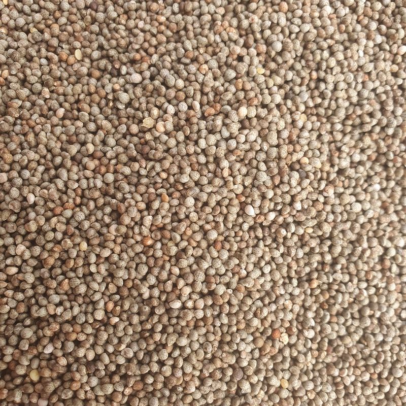 장터 상품 [들깨 들기름  생들기름 ] 썸네일