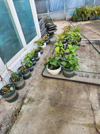 Preotu님의 기타작물 · 자유게시판 작성글 사진