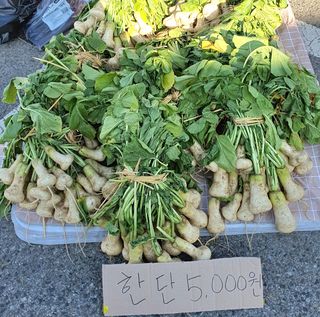 허니캠벨님의 작성글 사진