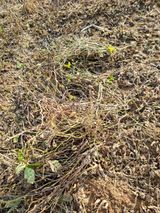 팜모닝 콩·자유게시판 게시글 이미지