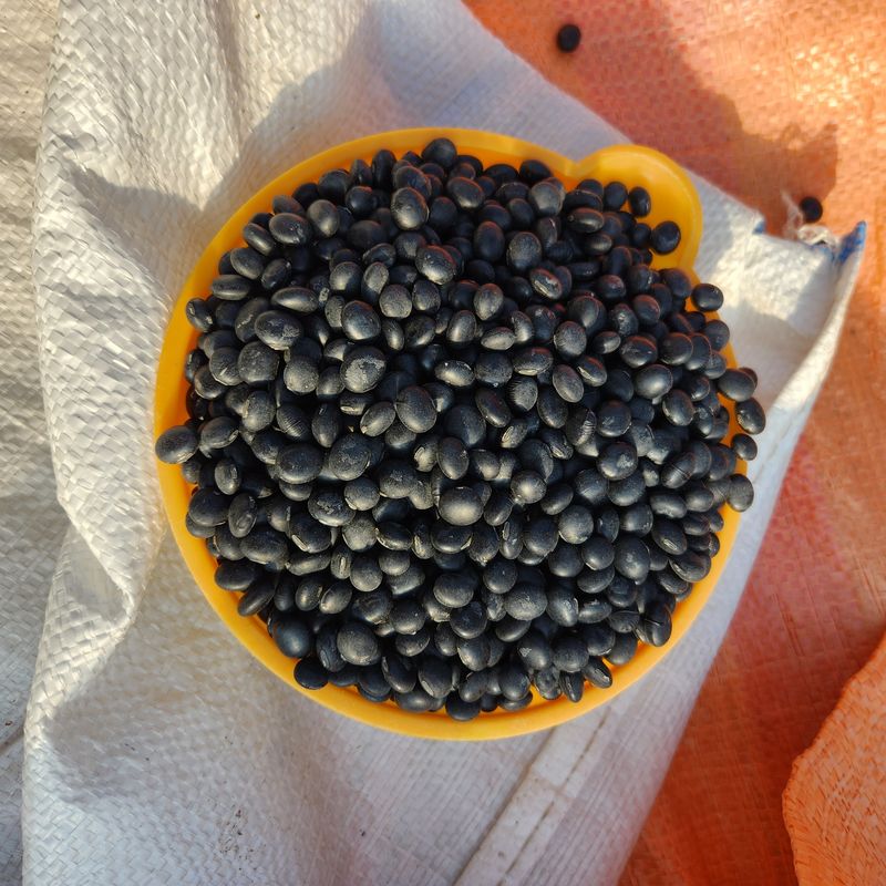 장터 상품 [콩 귀족서리태 1kg] 썸네일