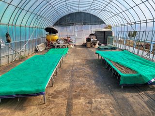 이상숙님의 기타작물 · 자유게시판 작성글 사진