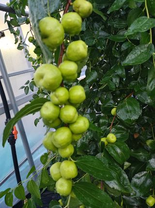 이병주님의 기타작물 · 자유게시판 작성글 사진