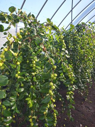 이병주님의 기타작물 · 자유게시판 작성글 사진