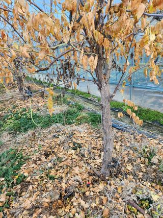 Preotu님의 기타작물 · 자유게시판 작성글 사진