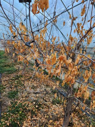 Preotu님의 기타작물 · 자유게시판 작성글 사진