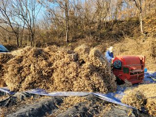 아리랑님의 콩 · 자유게시판 작성글 사진