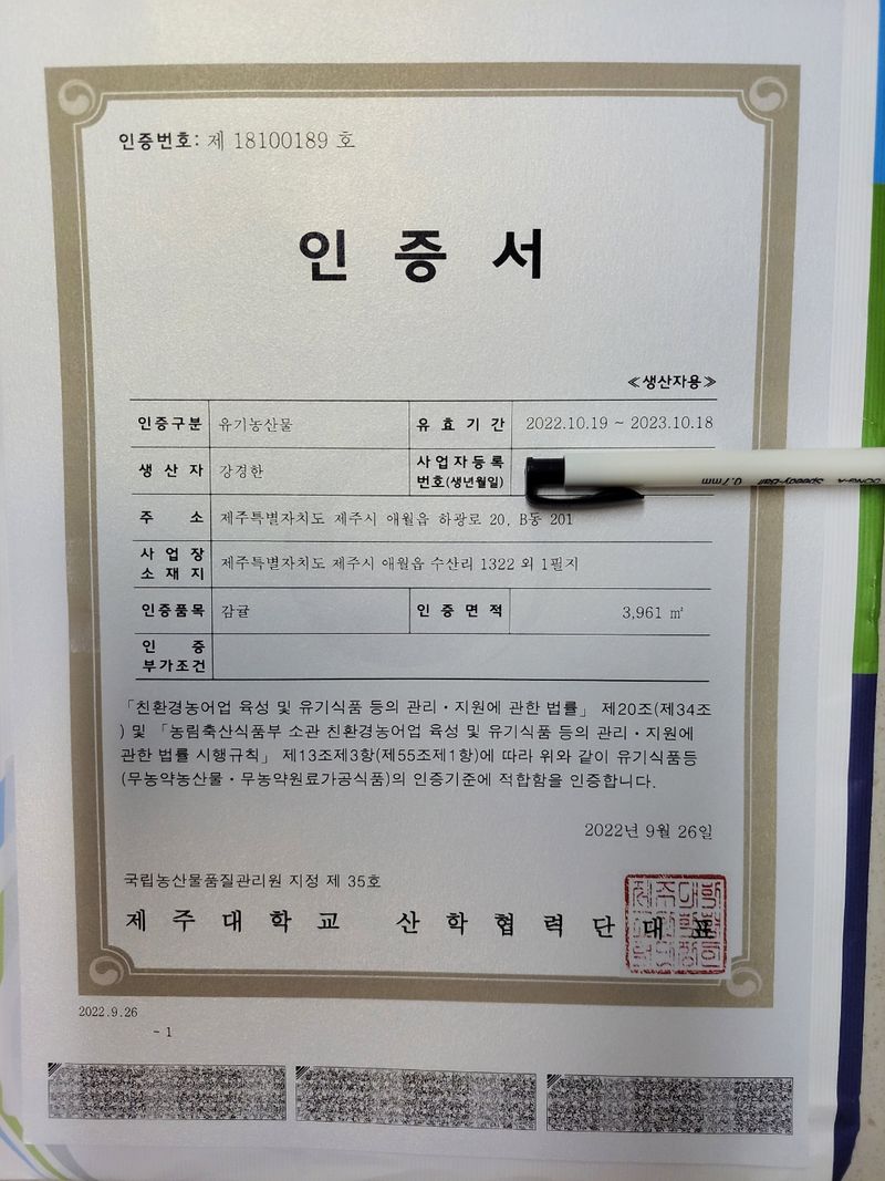 강경한님의 장터 판매 상품 [제주친환경유기농인증귤 10킬로] 첨부 사진