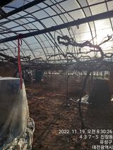 팜모닝 포도·자유게시판 게시글 이미지