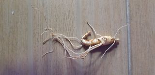 김기영님의 상추 · 자유게시판 작성글 사진