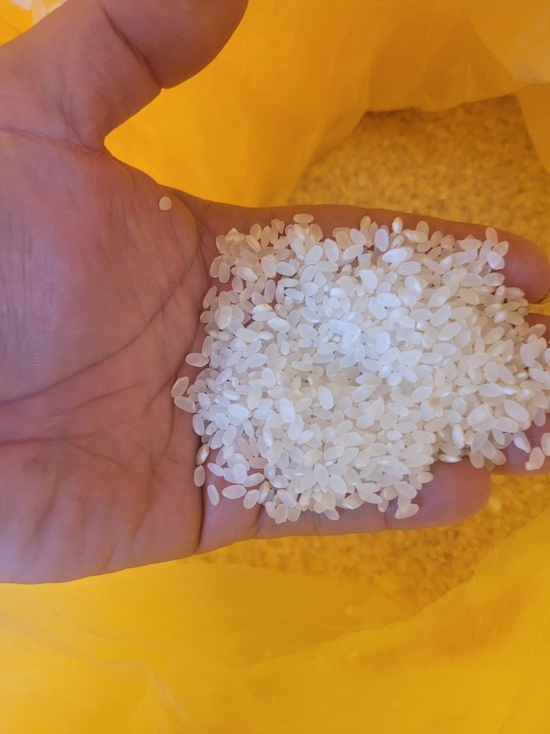 장터 상품 [쌀신동진 20kg] 썸네일