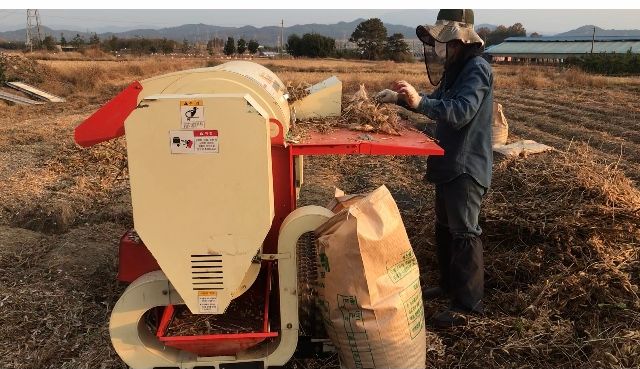 김기영님의 장터 판매 상품 [백태 #메주콩 #콩 kg당] 첨부 사진