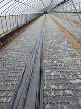 팜모닝 들깨·자유게시판 게시글 이미지