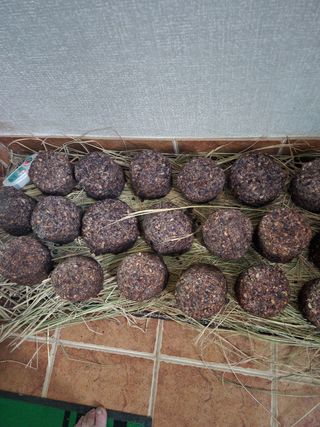 Preotu님의 기타작물 · 자유게시판 작성글 사진