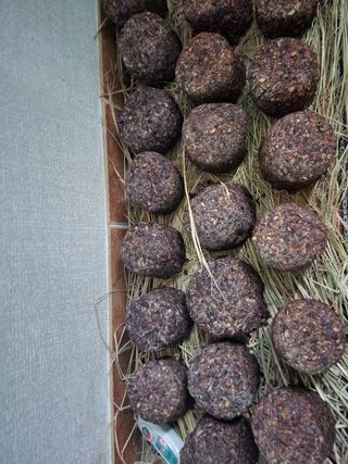 Preotu님의 기타작물 · 자유게시판 작성글 사진