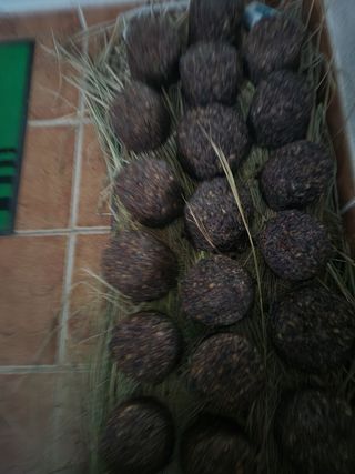 Preotu님의 기타작물 · 자유게시판 작성글 사진