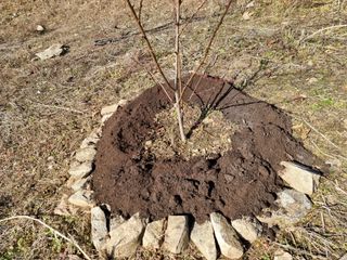 고봉농원 김경수님의 복숭아 · 자유게시판 작성글 사진