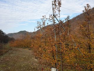 알 수 없음님의 사과 · 일상 작성글 사진