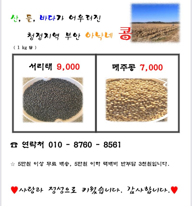 김혜영님의 장터 판매 상품 [서리태, 메주콩] 첨부 사진