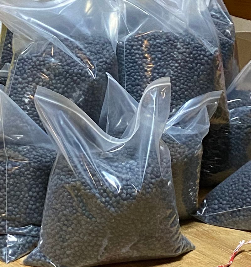 김혜영님의 장터 판매 상품 [쥐눈이(약콩,콩나물)] 첨부 사진