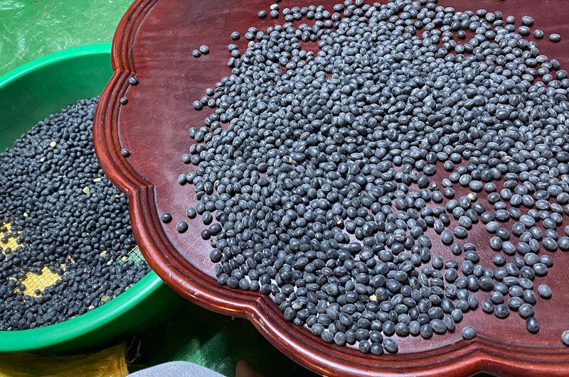 장터 상품 [쥐눈이(약콩,콩나물)] 썸네일