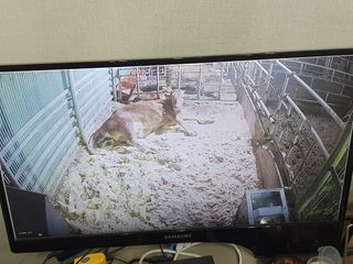 알 수 없음님의 기타작물 · 자유게시판 작성글 사진