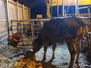 알 수 없음님의 기타작물 · 자유게시판 작성글 사진