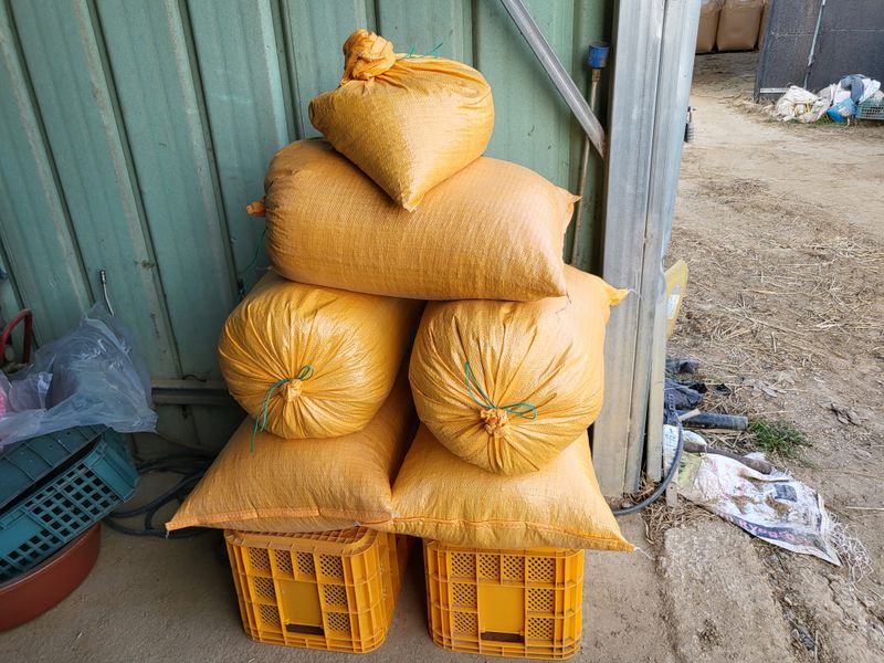 장터 상품 [메주콩 1kg] 썸네일