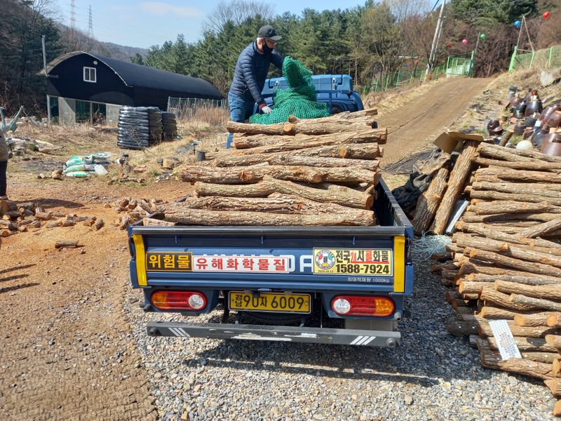장터 상품 [표고버섯 종균 접종한 참나무 원목 분양합니다 문의] 썸네일