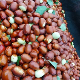 아로대추님의 기타작물 · 자유게시판 작성글 사진