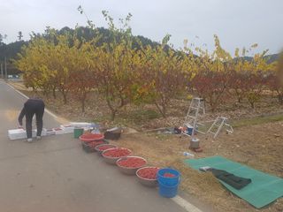 이형규님의 기타작물 · 자유게시판 작성글 사진