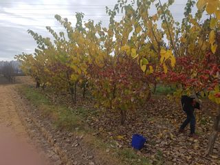 이형규님의 기타작물 · 자유게시판 작성글 사진